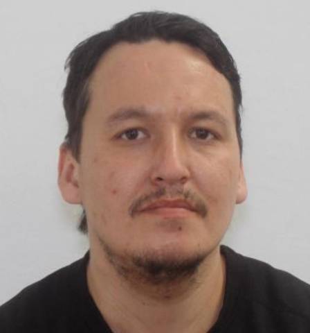 Male with brown hair and eyes | Homme aux cheveux et aux yeux bruns