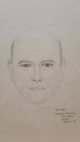 Composite sketch of suspect