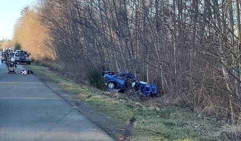 The aftermath of the collision where a blue Honda Civic struck a tree on Highway #19 near Parksville