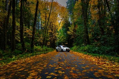 A BC Highway Patrol cruiser with its lights on surrounded by maple trees in the Autumn