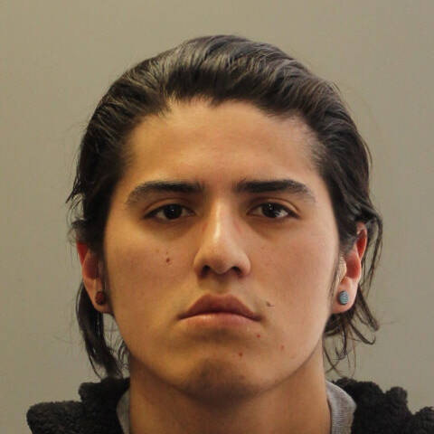 Male with brown hair and eyes | Homme aux cheveux et aux yeux bruns