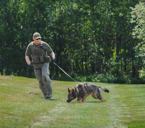 RCMP Police Service Dog Klue and Sgt. Mike L’italien in New Brunswick search operation