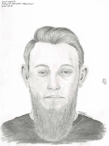 Composite sketch of suspect