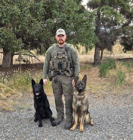 Eng: Thumbnail: Photo of uniformed police dog handler middle, Neeka, black dog left and new dog Arlo on right.