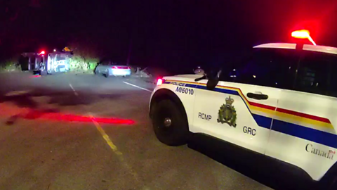 Photo of a police car at night, near a car flipped on its side on Catchpole Avenue.