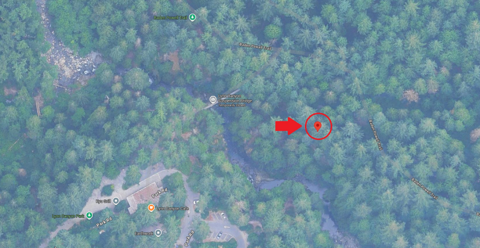 Google maps image of where the tourist fell