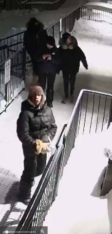 Surveillance image of suspects in Astro Hill Grocery Store damage investigation in Iqaluit