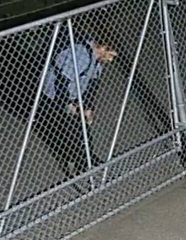 Image 1 of suspect