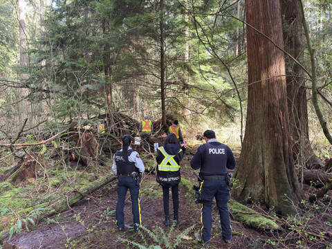 Two RCMP officers stand next to a bylaw officer in front of a wooded area, while people in fluorescent yellow work vests walk into the bushes.